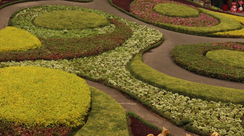 Holistic Landscaping