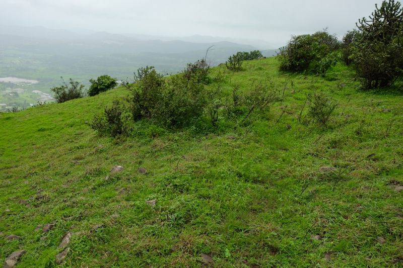 Common Pitfall to Avoid